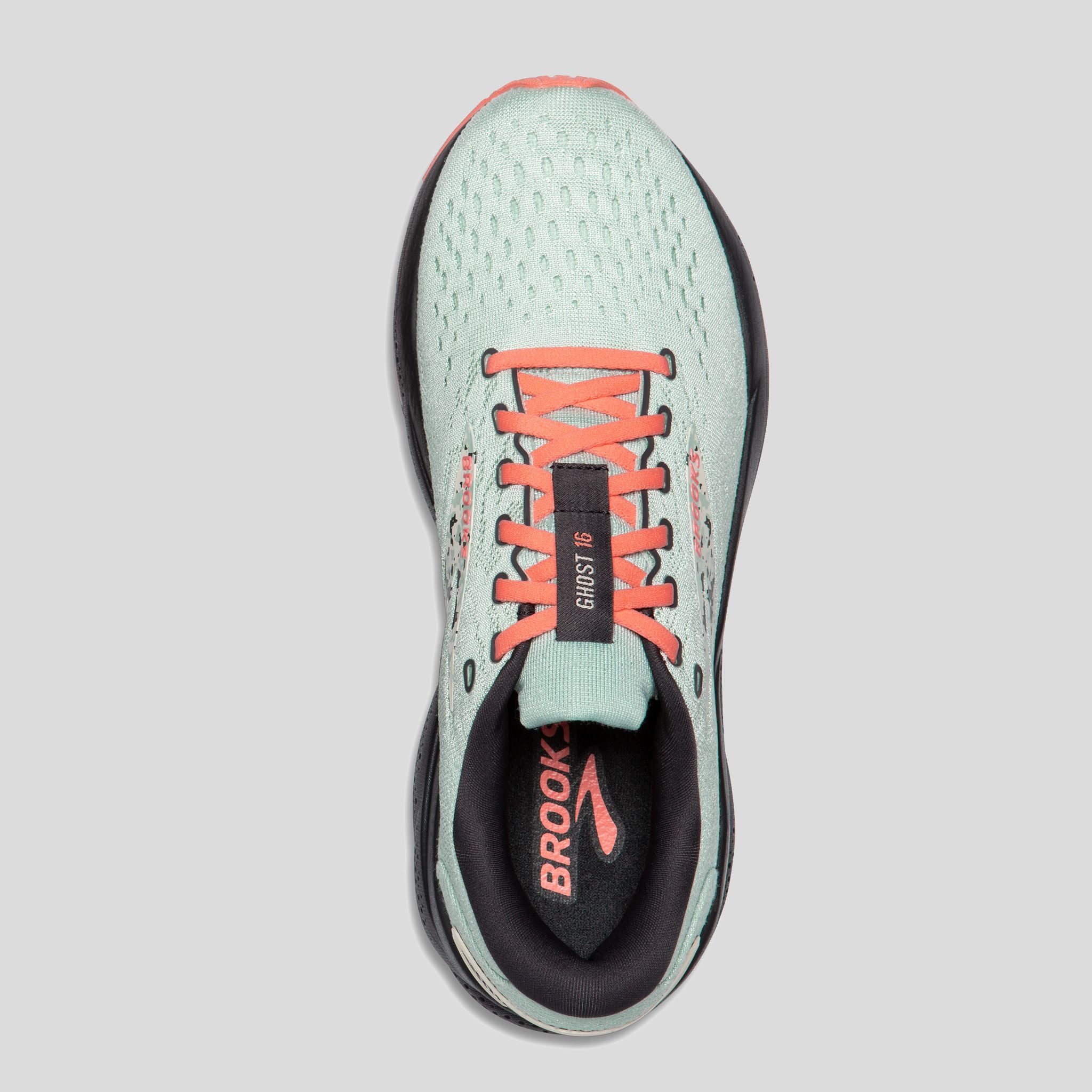 Ghost 16 | Surf/Flower/Whitecap